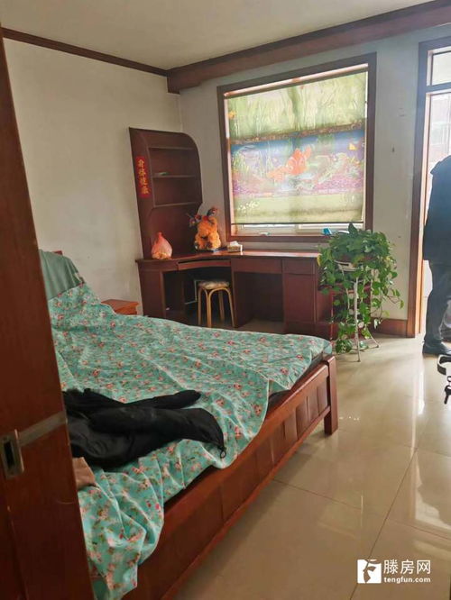 春秋閣東區優質房源 塔寺街路東精裝三居，證滿五年，看房便捷