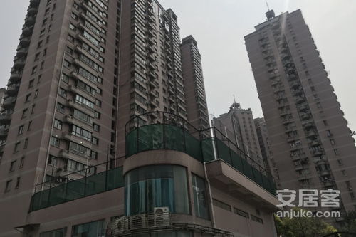 新中苑生活大師 居住體驗(yàn)深度解析與周邊房產(chǎn)中介服務(wù)觀(guān)察