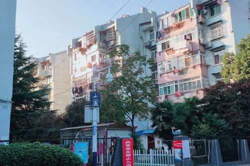 琥珀山莊綜合評(píng)測(cè) 優(yōu)勢(shì)與不足，以及周邊中介服務(wù)觀(guān)察